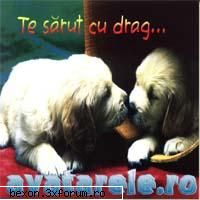 Avatare - Shaggy - Avatare pentru Messenger