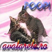 Avatare - Shaggy - Avatare pentru Messenger